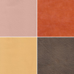 Similar image 711356