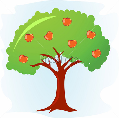 Фотография на тему Яблоня со спелыми яблоками, рисунок | PressFoto