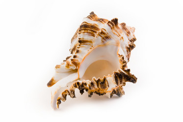 Similar image 711380