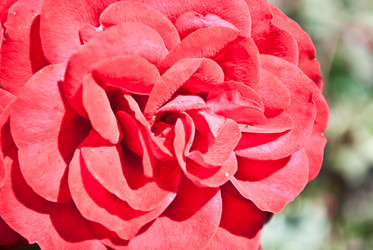 Similar image 711386