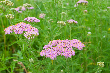 Similar image 711400