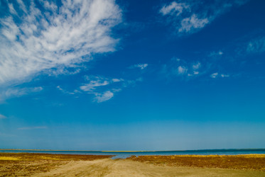 Similar image 711448