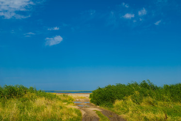 Similar image 711453