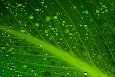 Similar image 711458