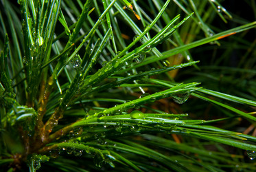 Similar image 711465