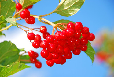 Similar image 711480