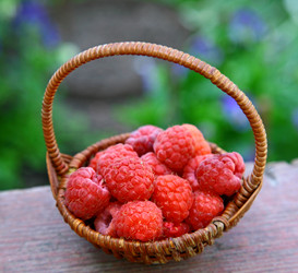 Similar image 711508