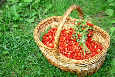 Similar image 711509