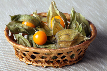 Similar image 711533