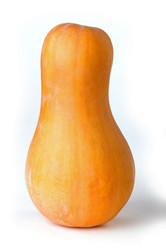 Similar image 711537