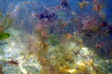 Similar image 711574