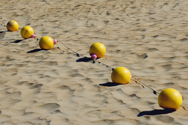 Similar image 711599