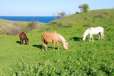 Similar image 711603