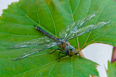 Similar image 711608