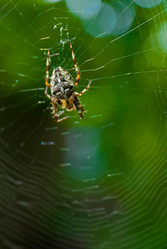 Similar image 711609