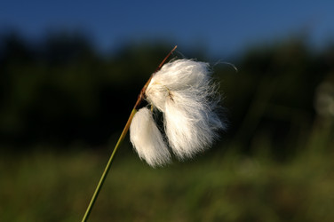 Similar image 711610