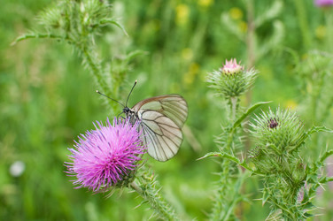 Similar image 711617