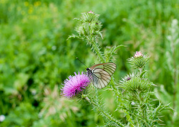 Similar image 711619