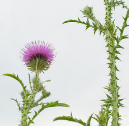 Similar image 711622