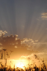 Similar image 711638