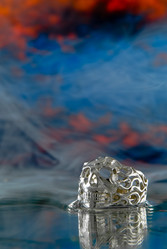 Similar image 711653