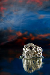 Similar image 711654