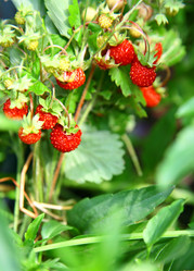 Similar image 711732