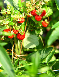 Similar image 711733