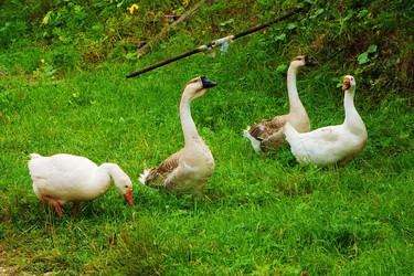 Similar image 711736