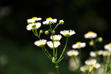 Similar image 711778