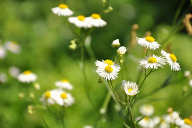 Similar image 711779