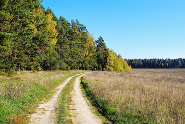 Similar image 711792