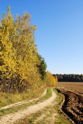 Similar image 711798