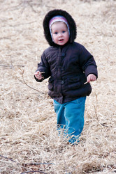 Similar image 711863