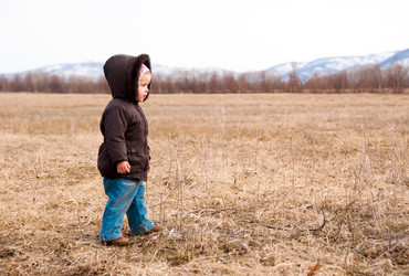 Similar image 711865