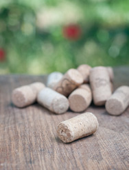 Similar image 711992