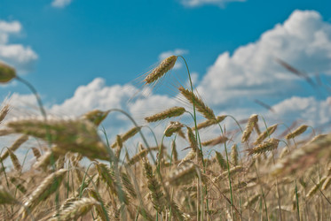 Similar image 712018