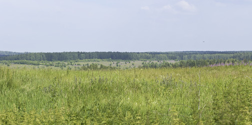 Similar image 712020