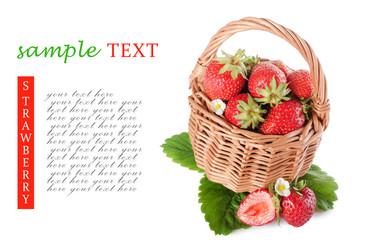 Similar image 712082