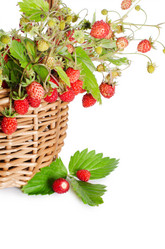 Similar image 712083