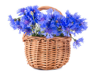 Similar image 712090