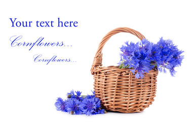 Similar image 712091