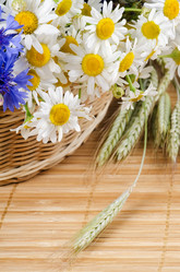 Similar image 712093