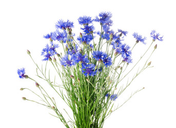 Similar image 712095