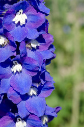 Similar image 712099