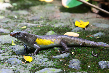 Similar image 712100