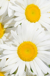 Similar image 712102