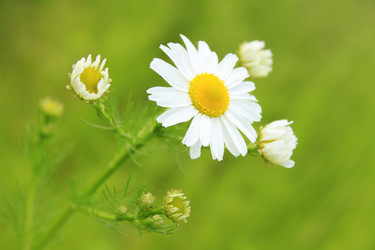 Similar image 712104