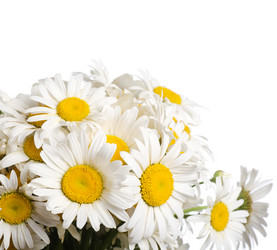 Similar image 712105