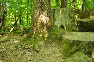 Similar image 712190